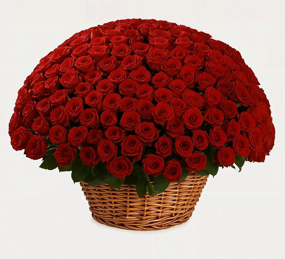 Премиум букет из: Розы в Новомарковке