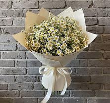 Букет цветов из:  Ромашки #REPLACE_PRED# Новомарковке