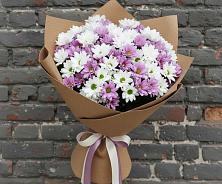 Букет цветов из:  Хризантемы #REPLACE_PRED# Новомарковке