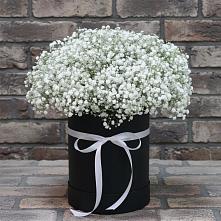 Цветочная композиция из Гипсофила в шляпной коробке #REPLACE_PRED# Новомарковке