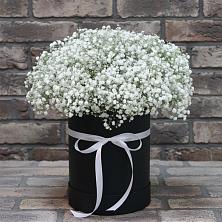 Цветочная композиция из Гипсофила в шляпной коробке в Новомарковке