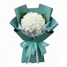 Букет цветов из:  Гортензия #REPLACE_PRED# Новомарковке